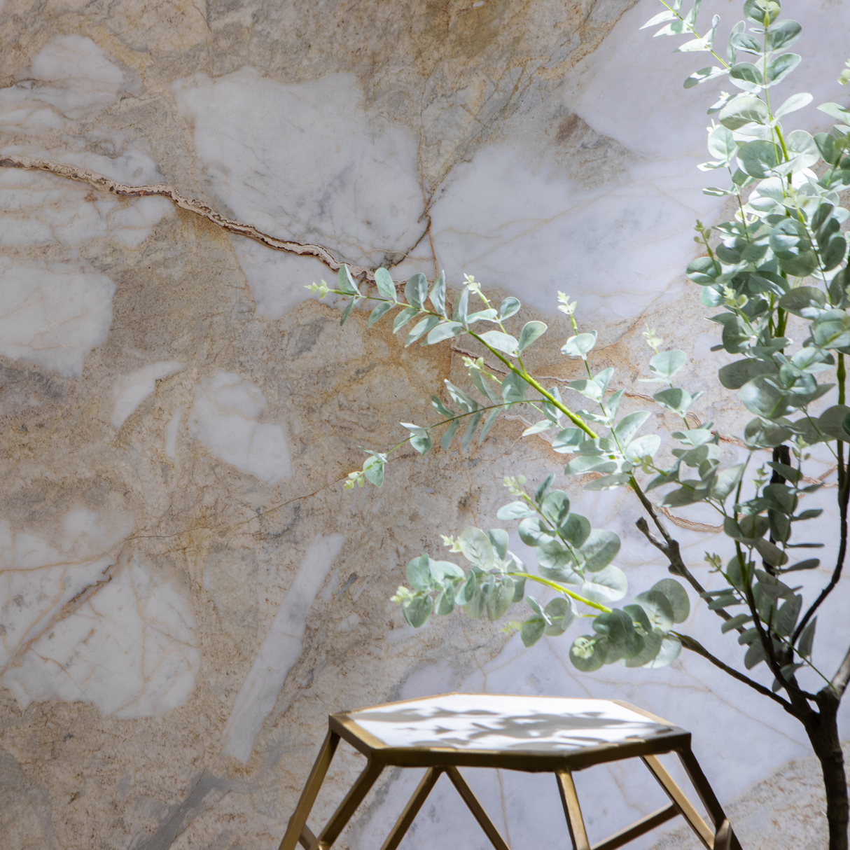 Lady White Polished Slab