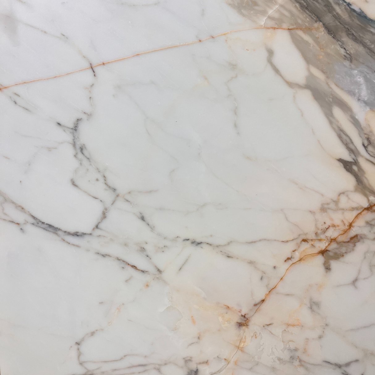 Calacatta Borghini Gold Honed Slab