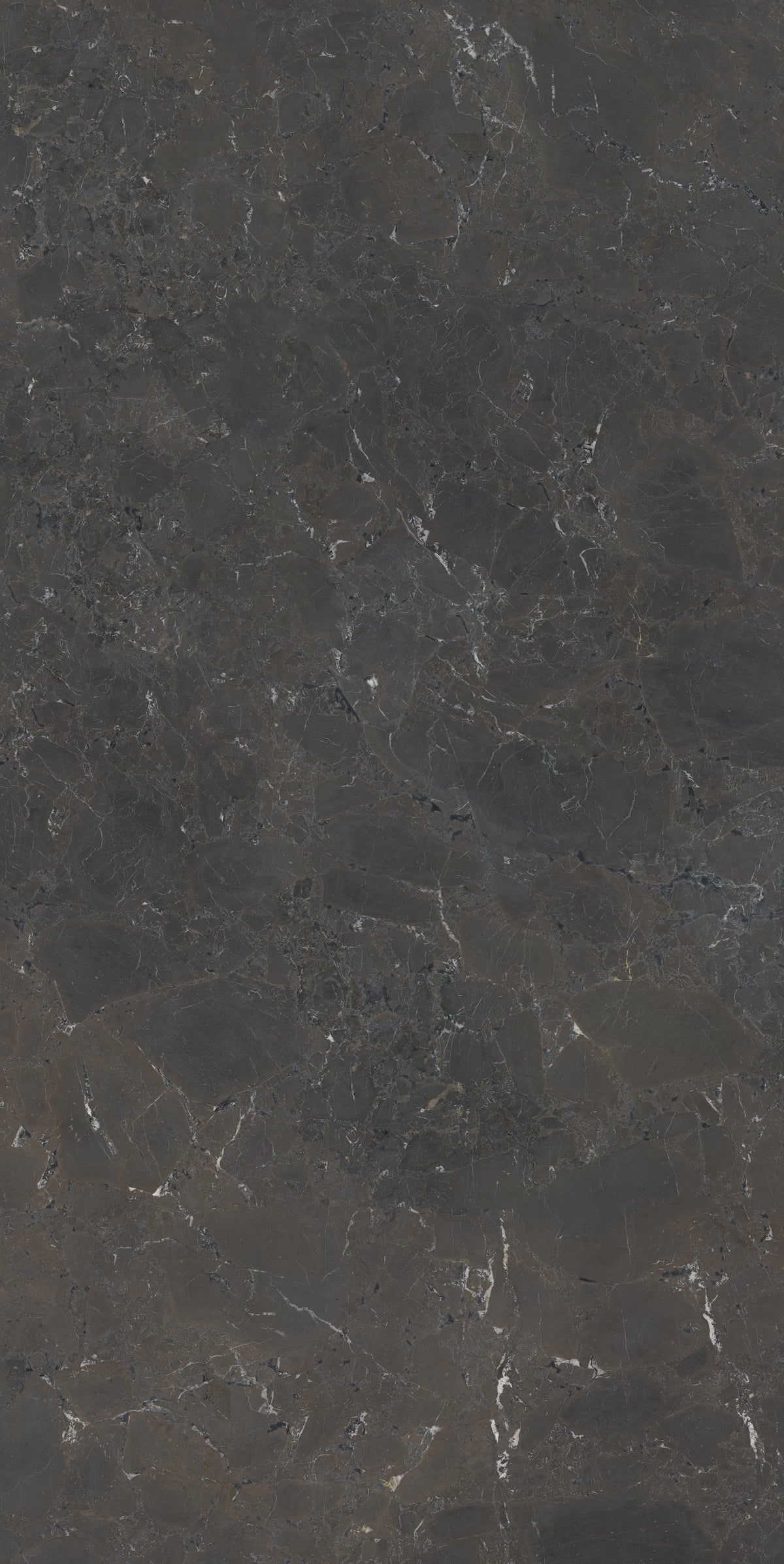 Dark Forest Matte 64" x 128" Porcelain slab