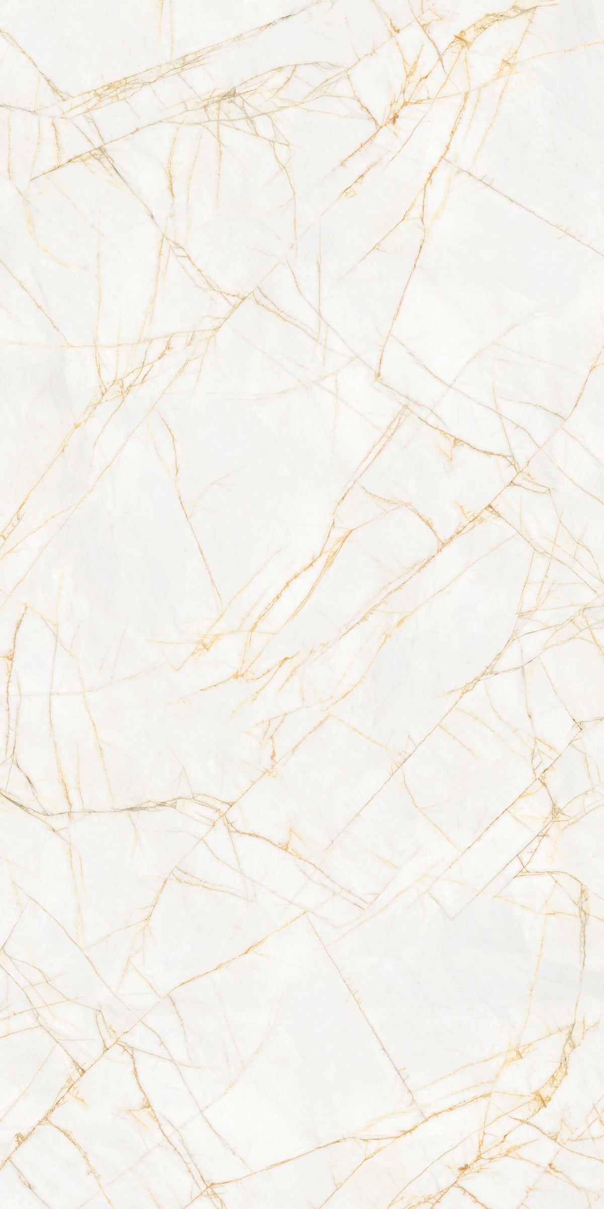 Golden Spider Matte 64" x 128" Porcelain slab