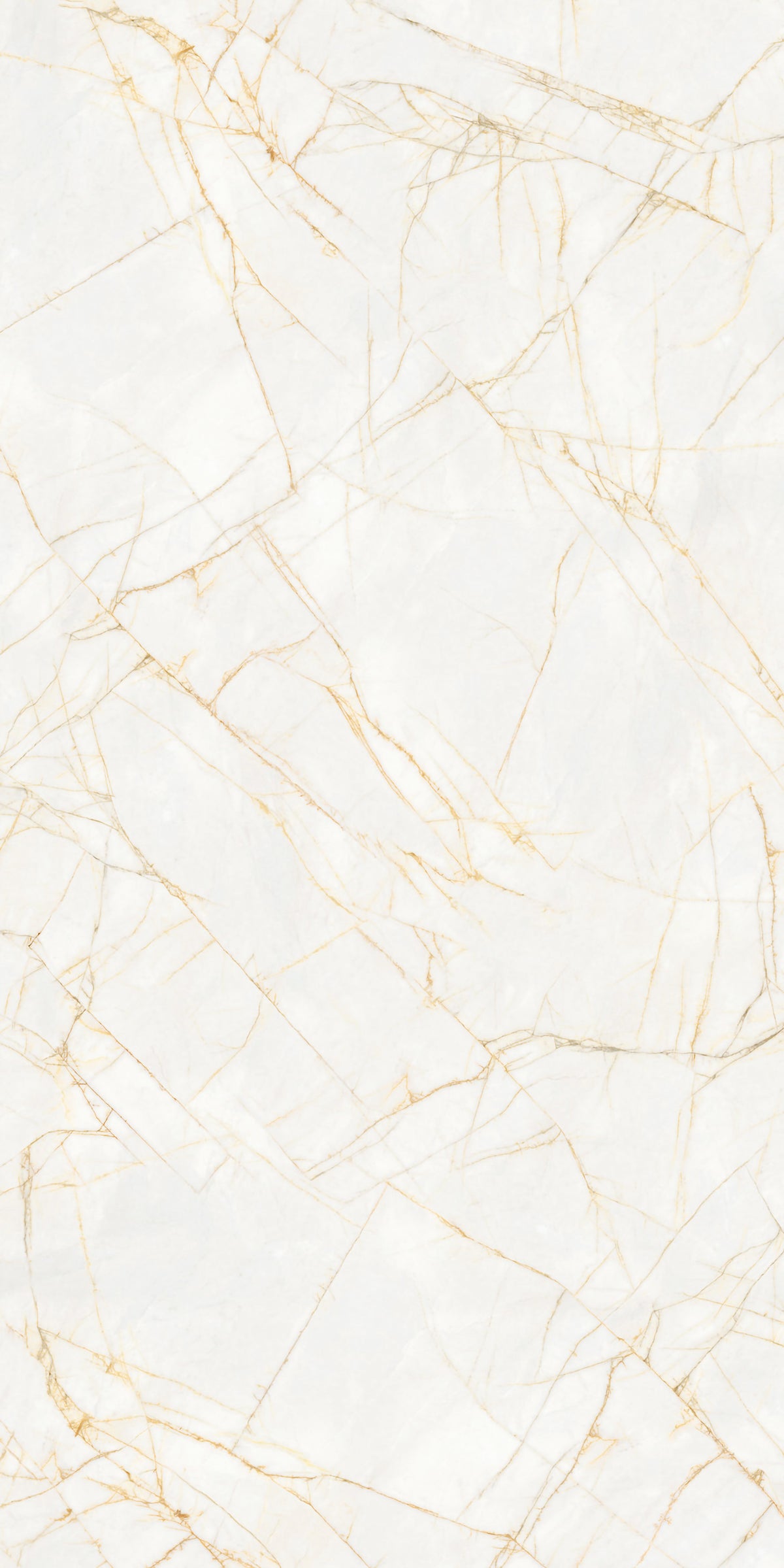 Golden Spider Matte 64" x 128" Porcelain slab, Side B