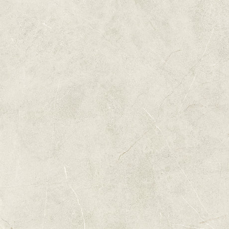 Vermont Porcelain Tile 48x48