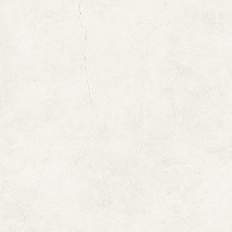 Vermont Porcelain Tile 48x48