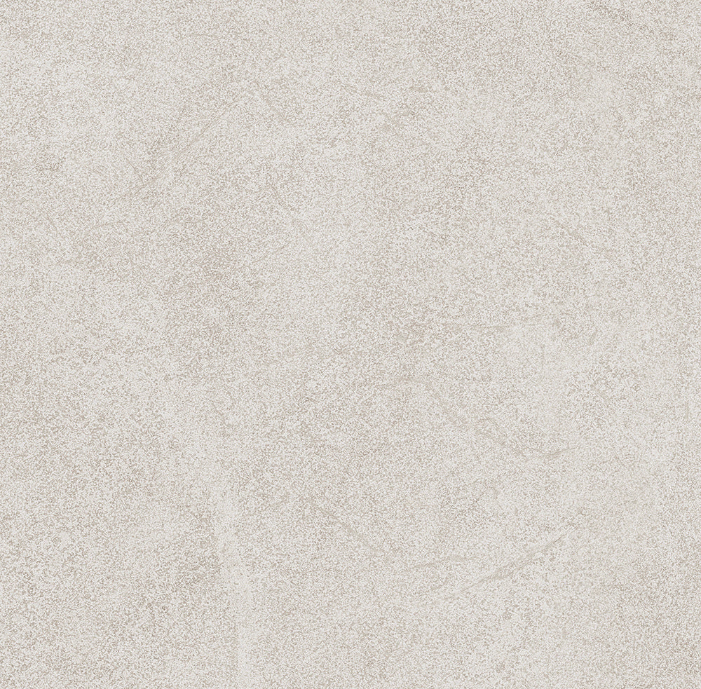 Zarci Porcelain Tile 48x48