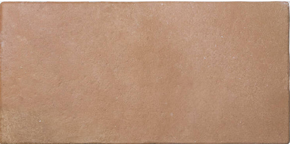 cotto Roots Porcelain Field Tile Matte 8.6x17.2