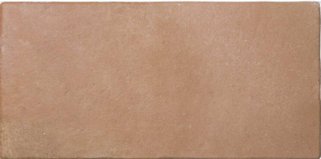 cotto Roots Porcelain Field Tile Matte 8.6x17.2