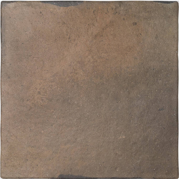 rust Roots Porcelain Field Tile Matte 17.2x17.2