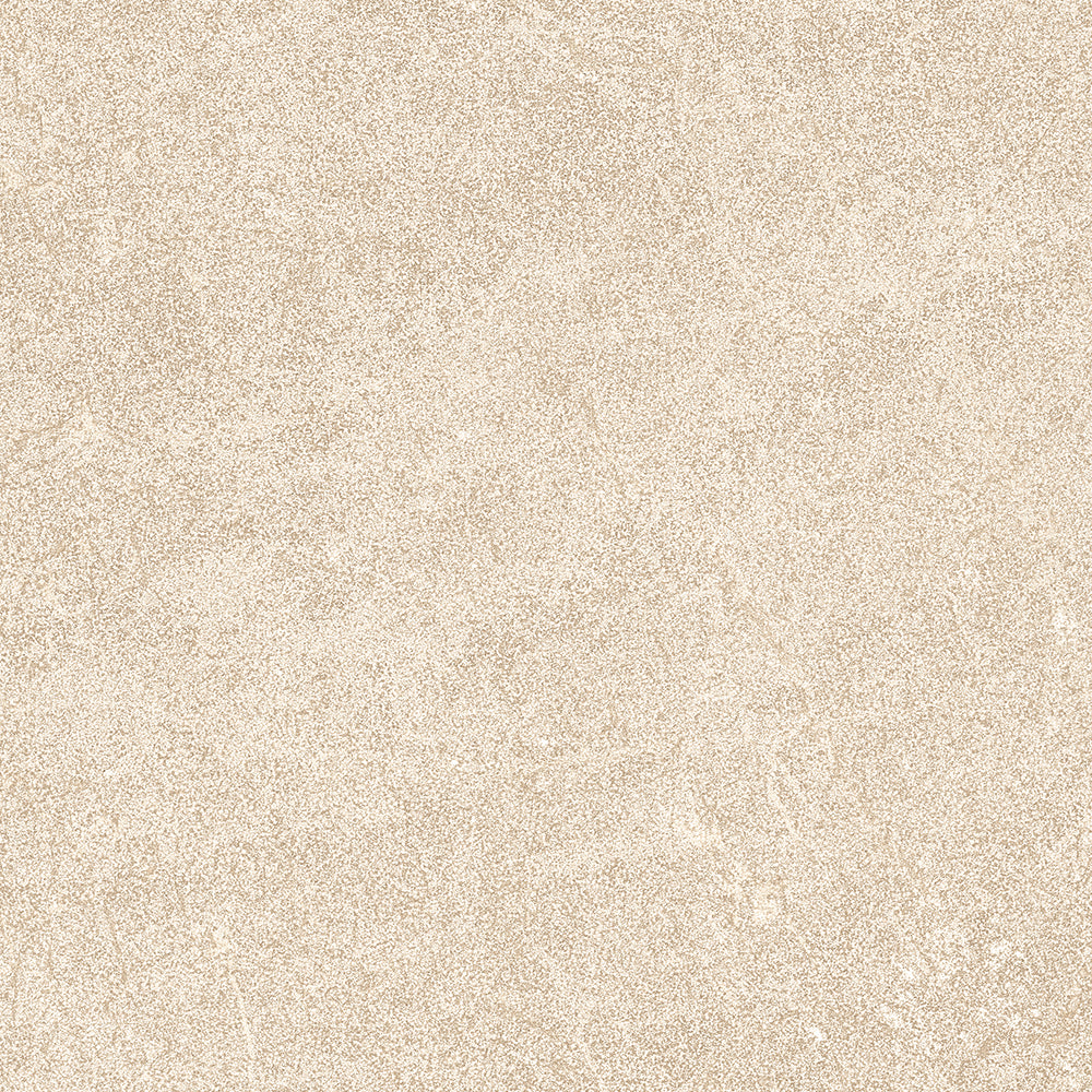 Zarci Porcelain Tile 48x48