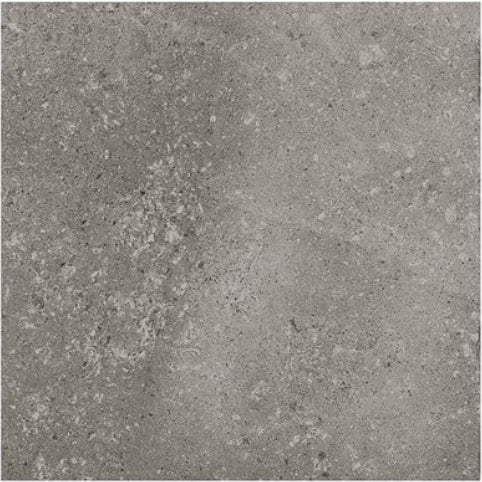fossil wall tile Ages Porcelain Tile Matte 24x24