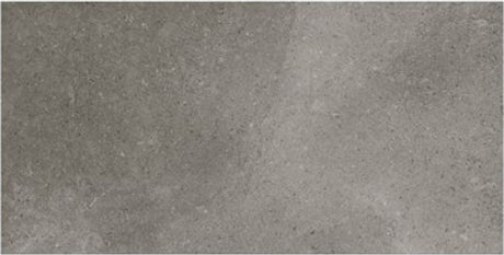 fossil wall tile Ages Porcelain Tile Matte 24x48