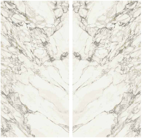 Arabescato Vagli Lucido Porcelain Slab Matte bookmatch