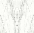 Bianco Laguna Porcelain Slab Matte bookmatch
