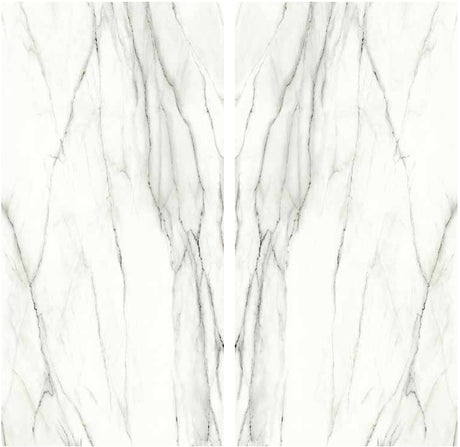 Bianco Laguna Porcelain Slab Matte bookmatch