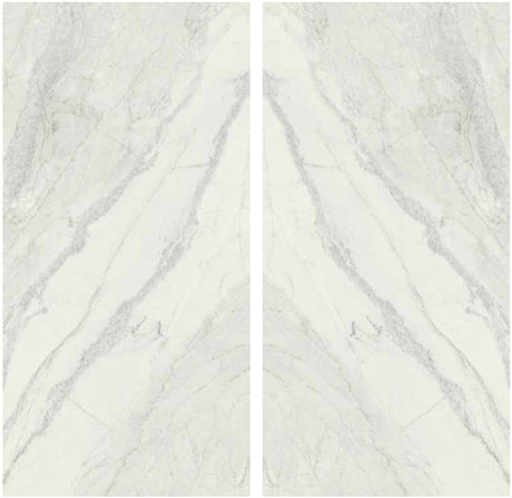 Bianco Rinho Porcelain Slab Matte bookmatch