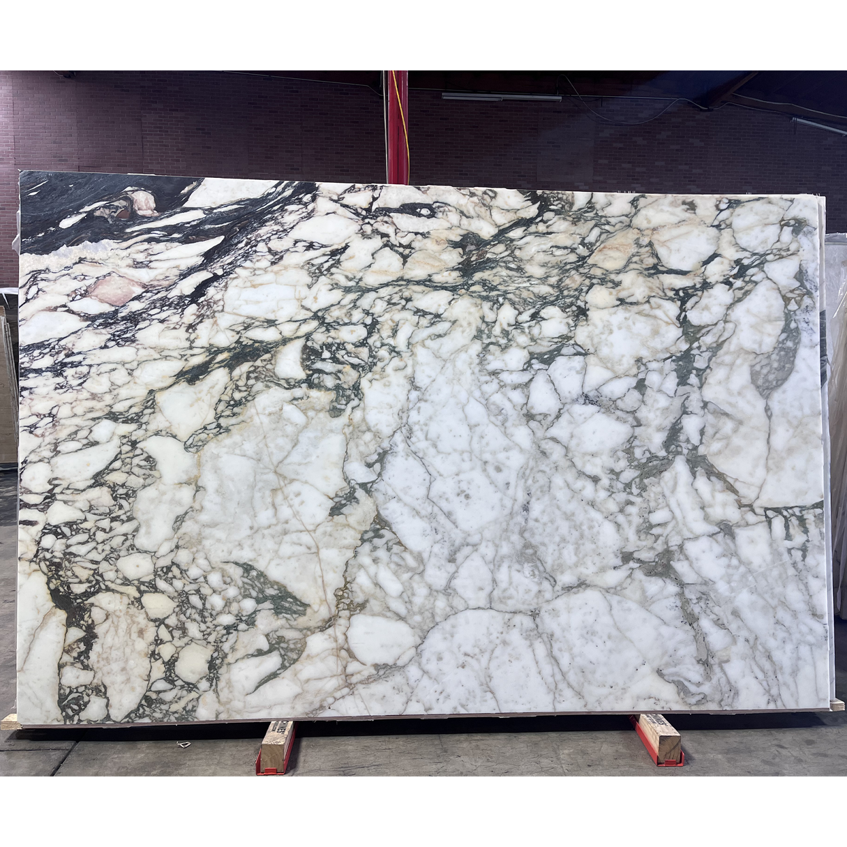 Calacatta Monet Polished Slab