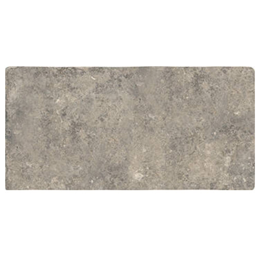 cluny Abbey Stone Extra Large Tile Matte 8.6x17.2