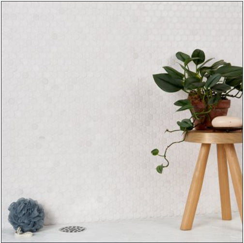 Bianco Dolomite 1” Penny Round wall tile