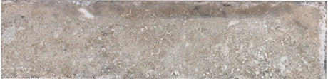 Caruso Efeso Porcelain Tile 3x12