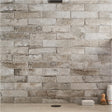 Caruso Efeso Porcelain wall Tile 3x12