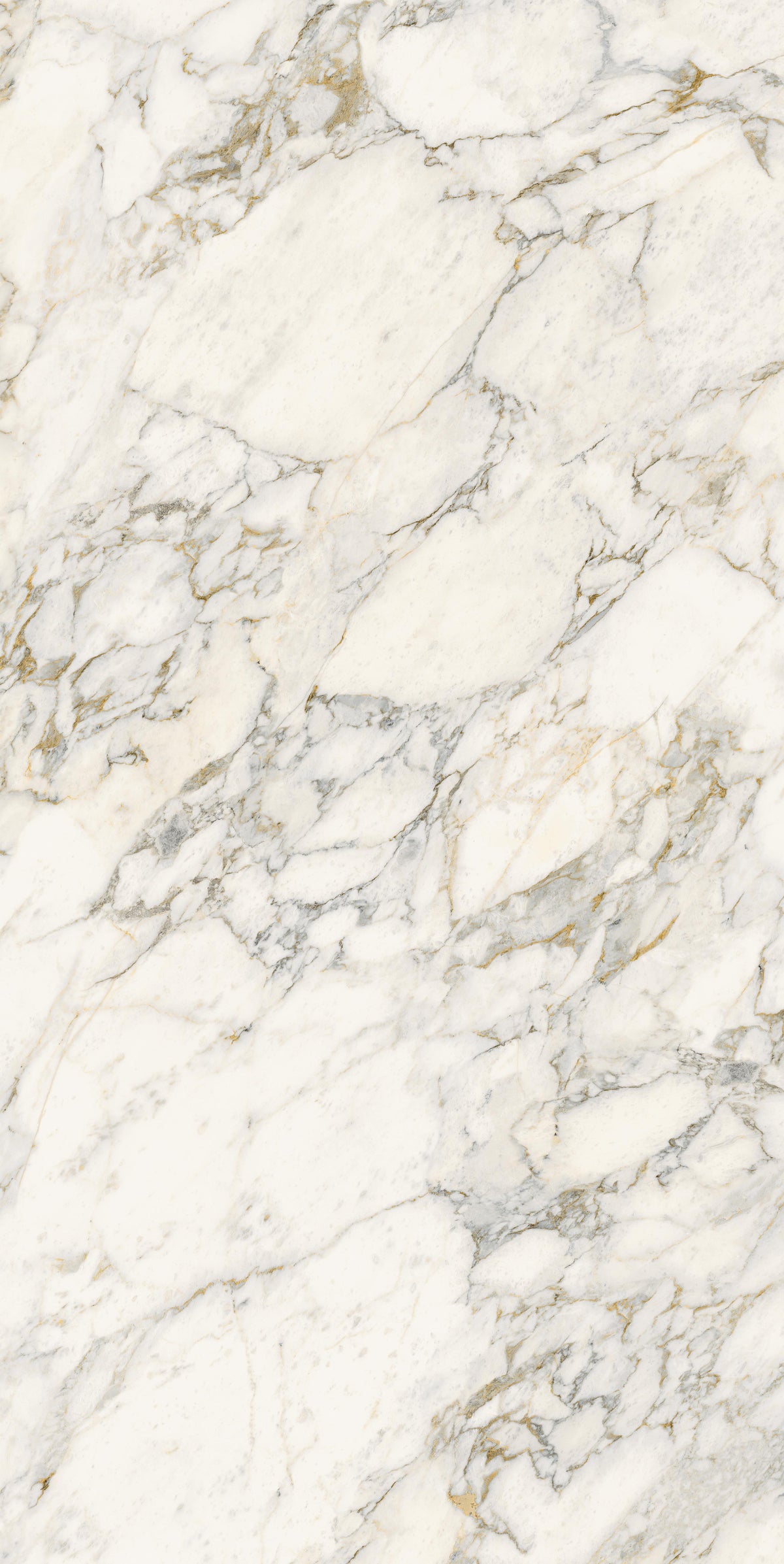 Royal Matte 64" x 128" Porcelain slab, Side B