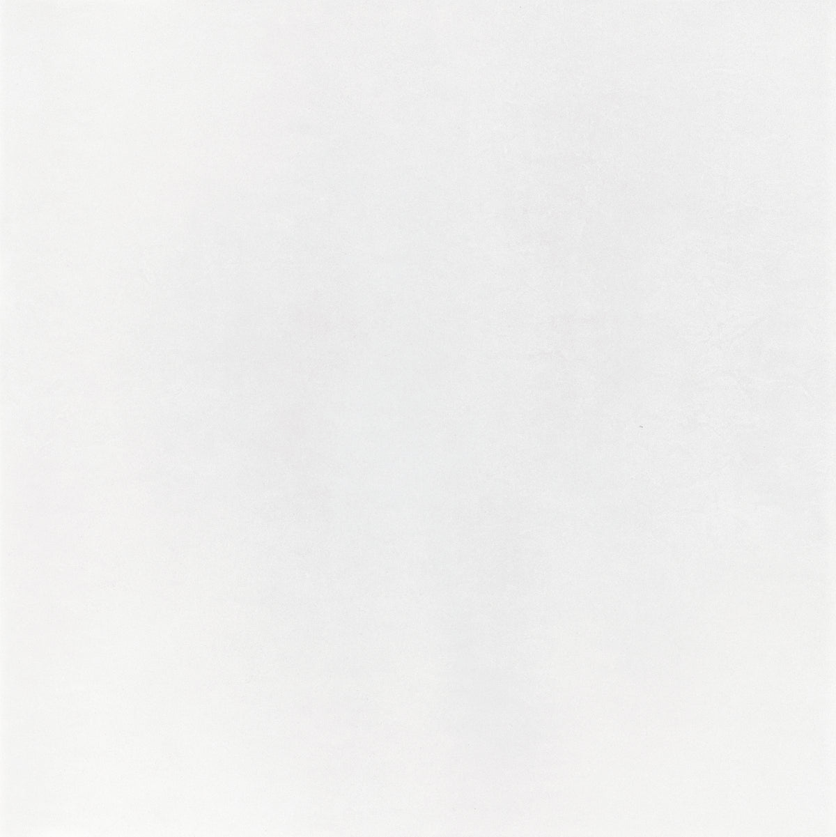 Micron 48x48 Polish Bianco porcelain tile