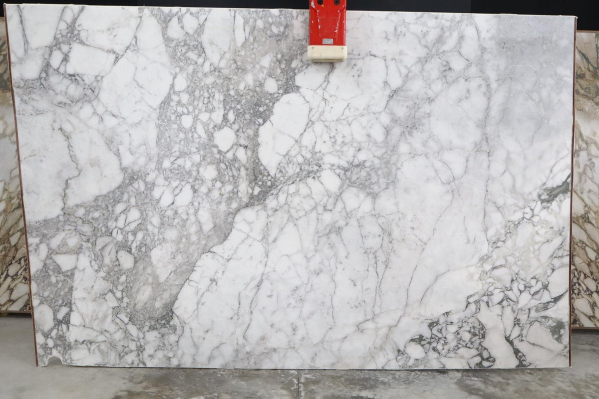 Calacatta Vagli Marble Honed 78" x 119" Natural Stone slab