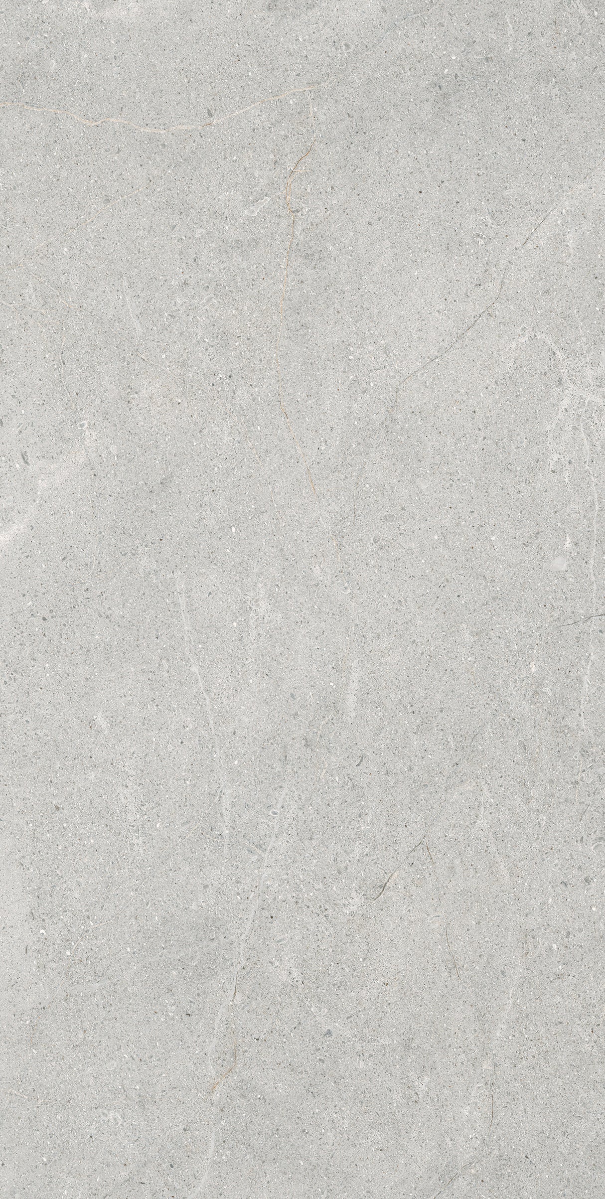 Lime Evolution 24x48 porcelain tile