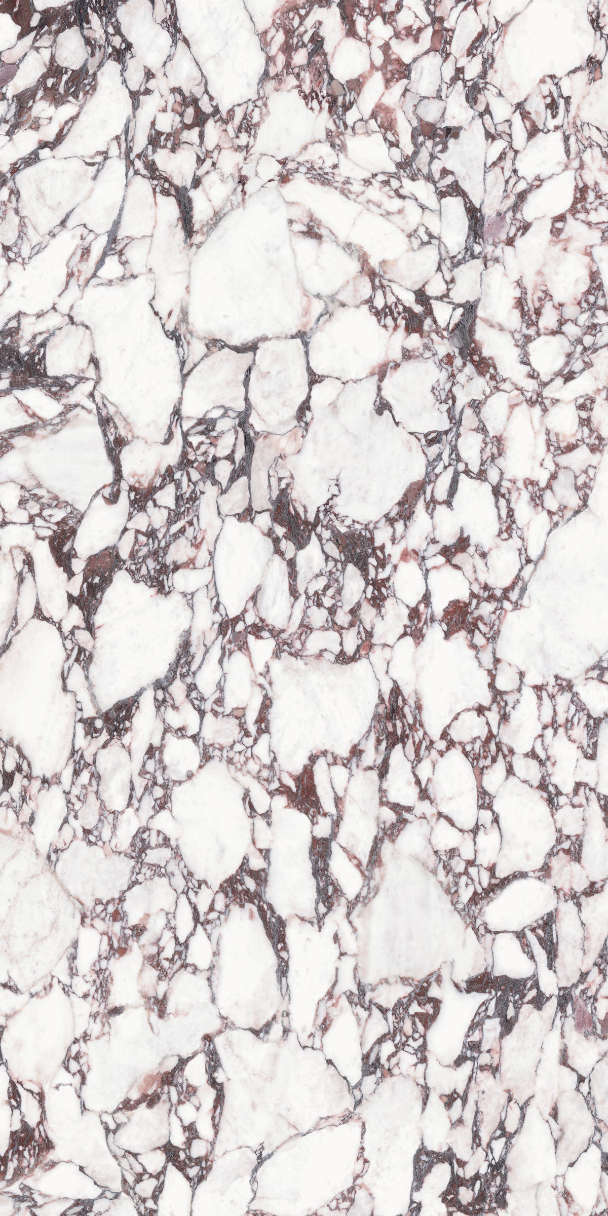 Calacatta Viola Matte 63" x 126" Porcelain slab