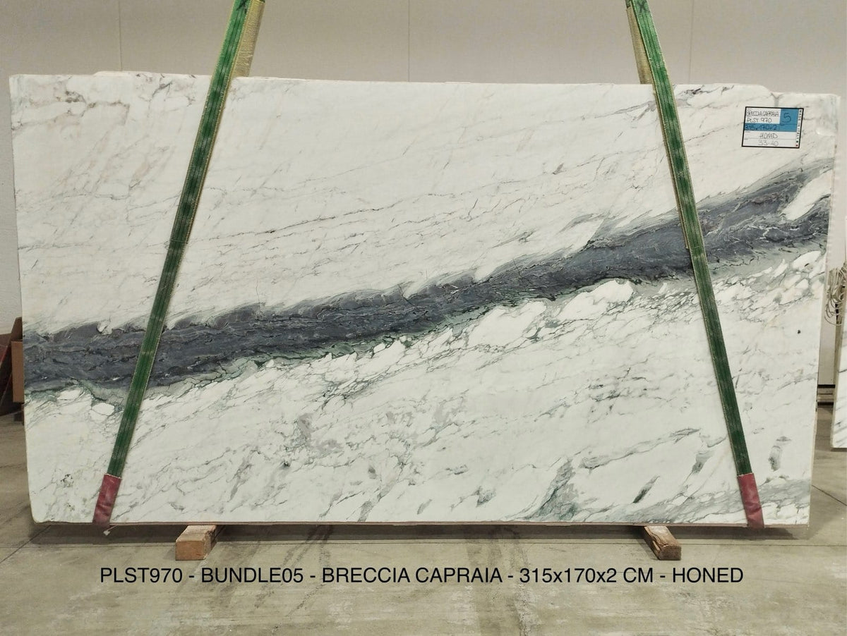 Breccia Capraia Marble Honed 70" x 123" Natural Stone slab