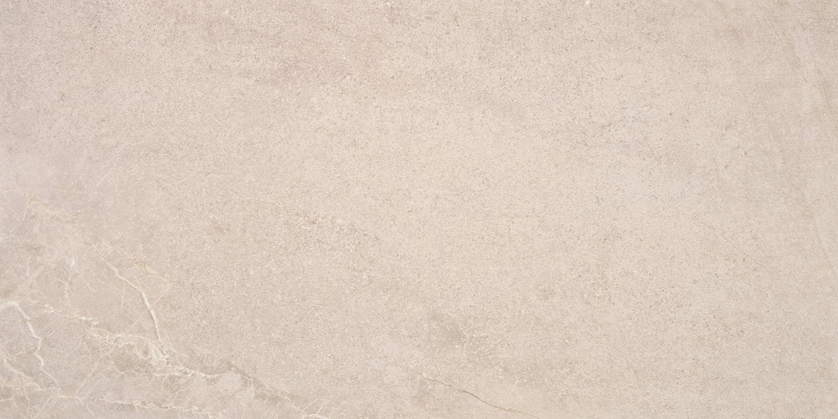 Lithos 24x48 porcelain tile