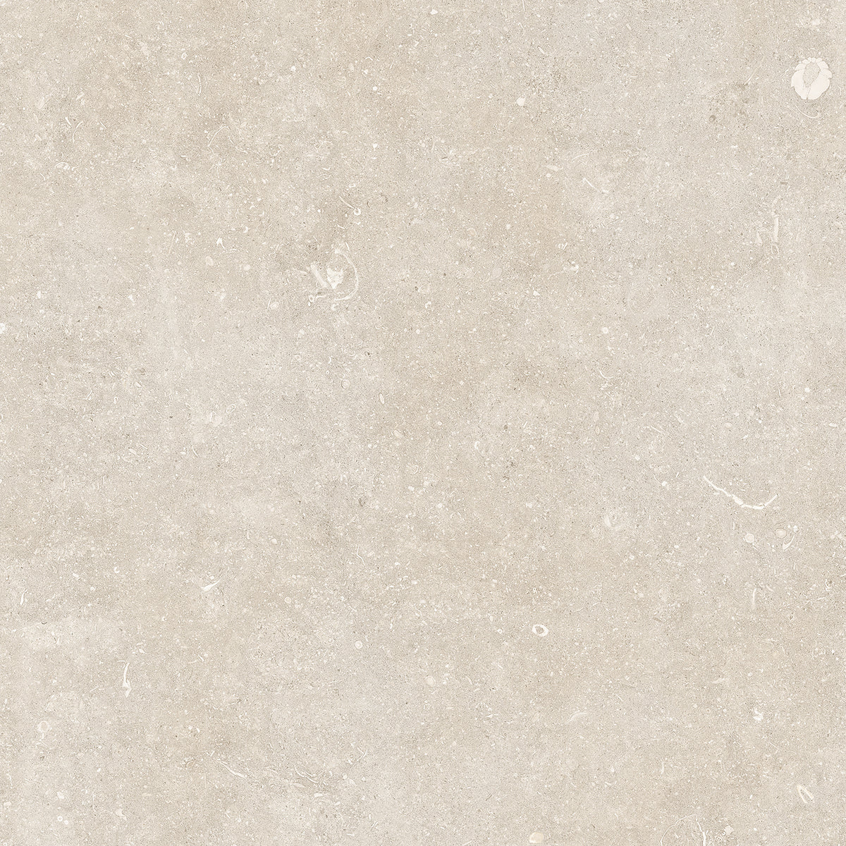 Oda Light Porcelain Matte 47" x 106" Porcelain slab