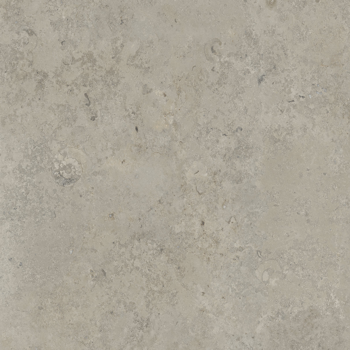 Bistone 48x48