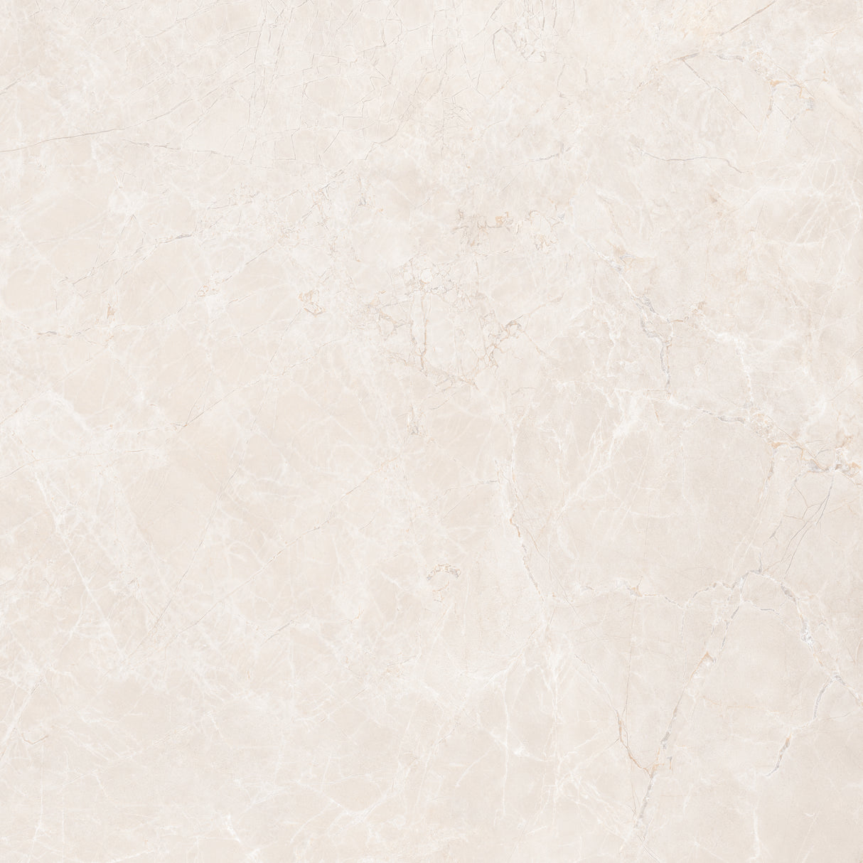 Eden Sand Nat 48x48 porcelain tile