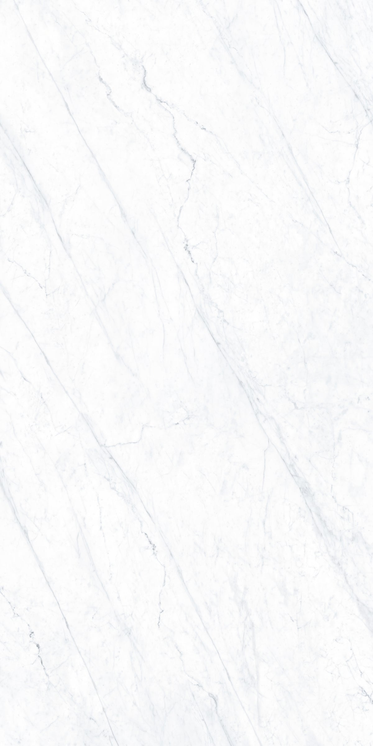Carrara Matte 63" x 126" Porcelain slab