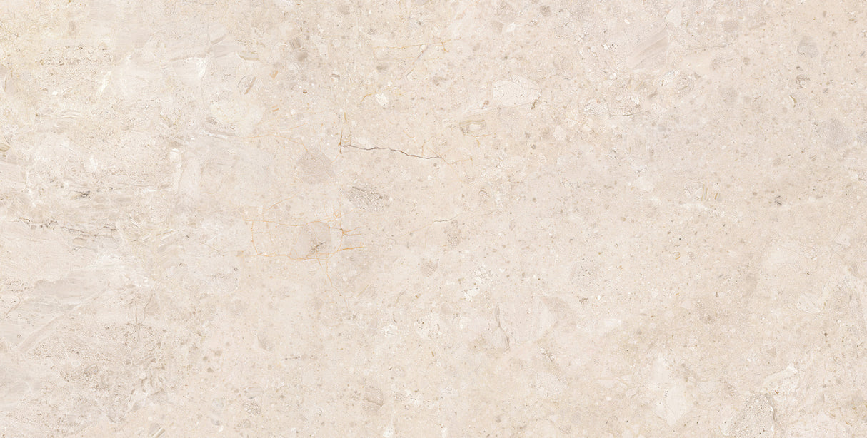 Ardara 24x48 porcelain tile