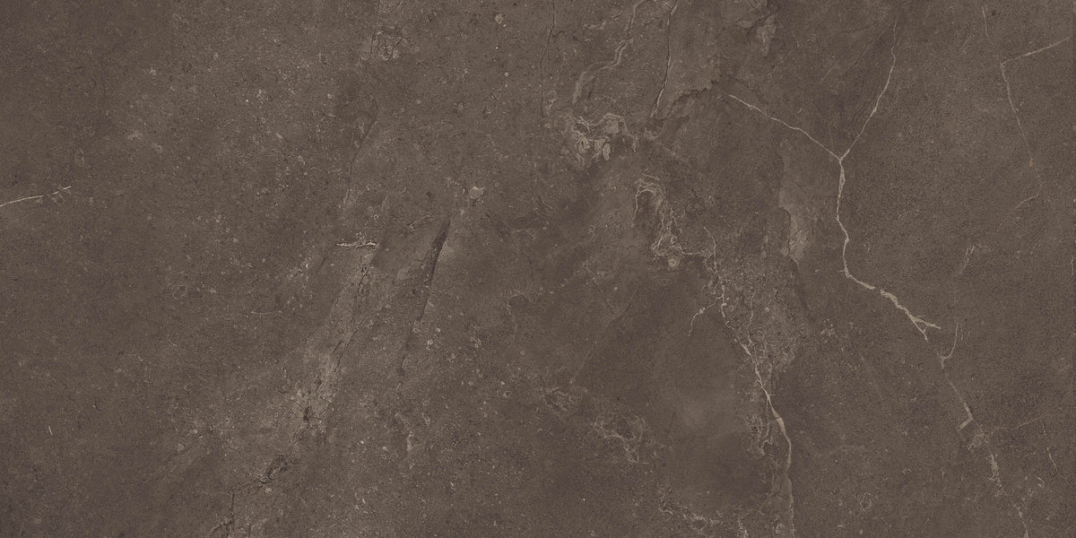 Arcadia 24x48 porcelain tile