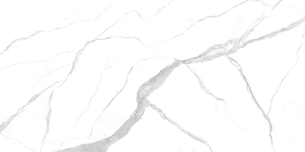 Altissimo Matte 64" x 128" Porcelain slab, Side B