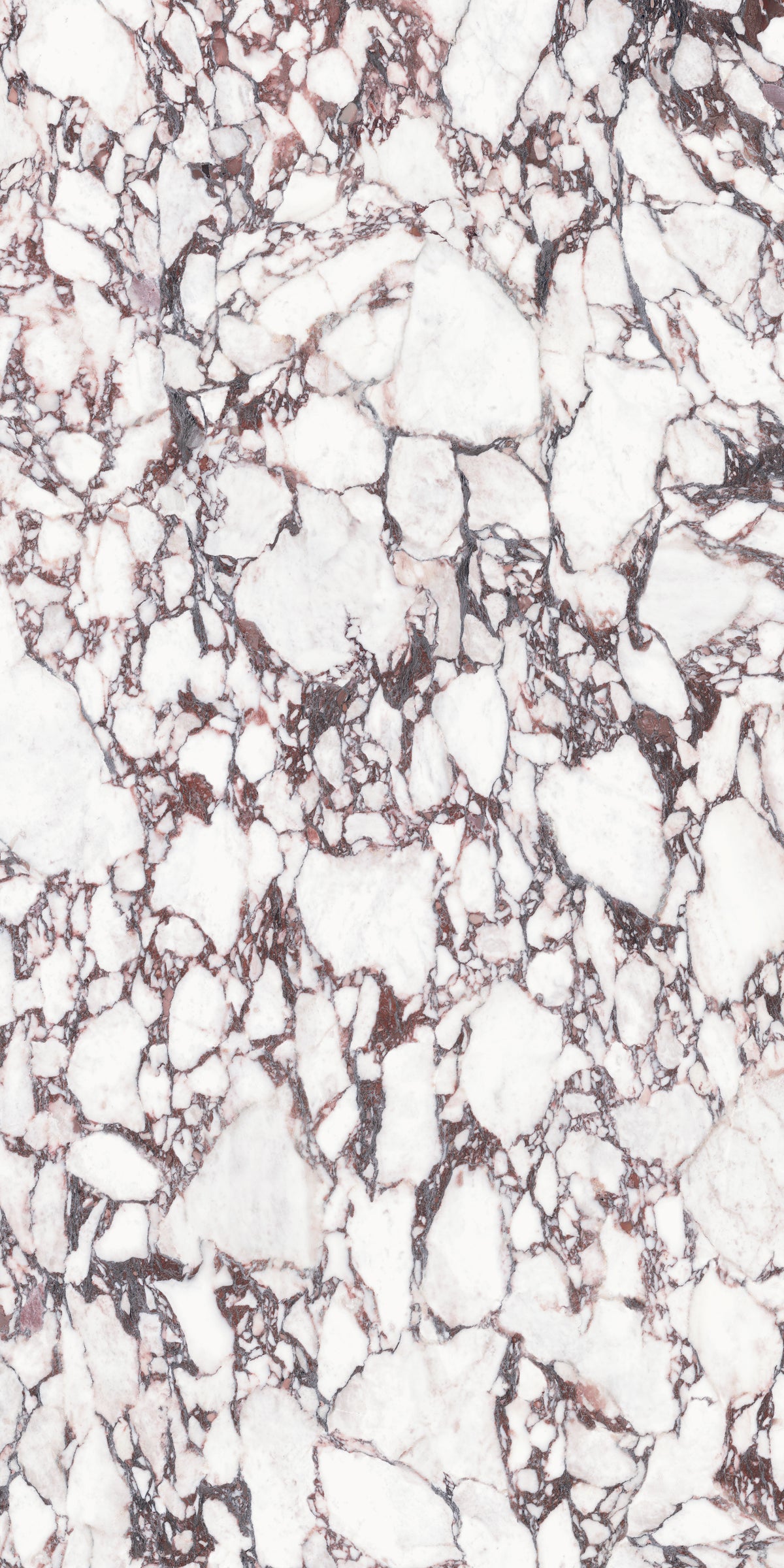 Calacatta Viola Matte 63" x 126" Porcelain slab, Side B