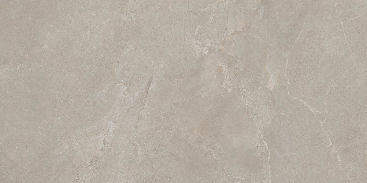 Arcadia 24x48 Matte Visone porcelain tile