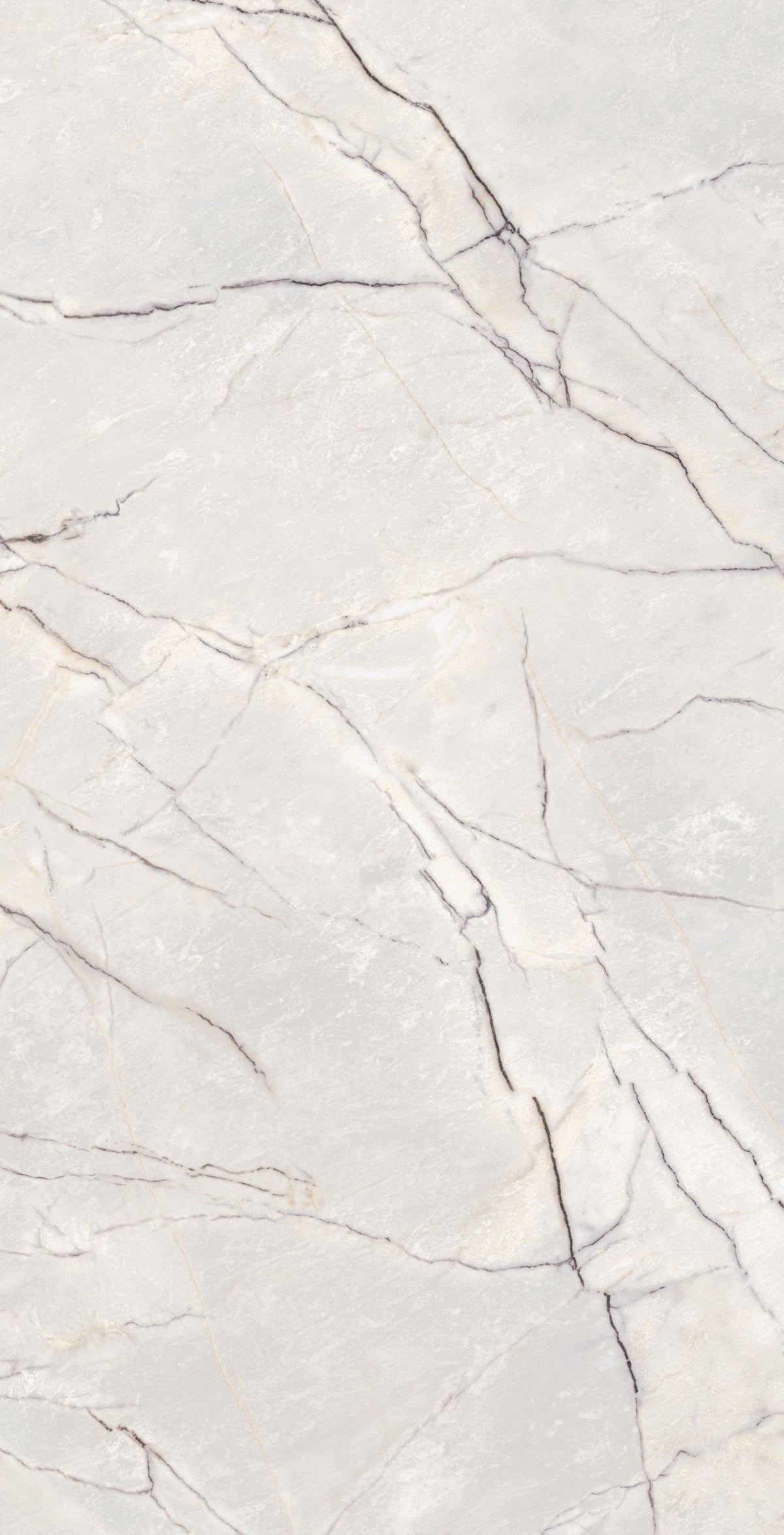 Greylac Platinum Polish 64" x 128" Porcelain slab