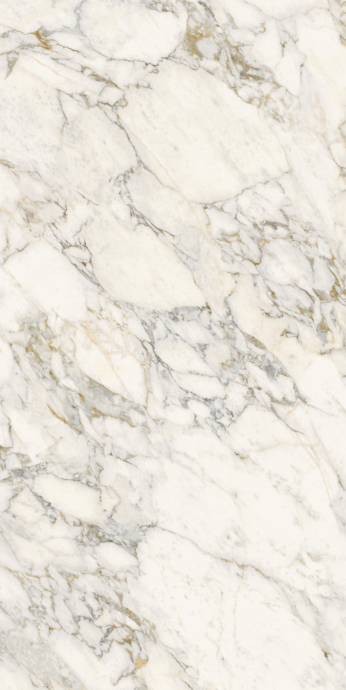 Royal Matte 64" x 128" Porcelain slab