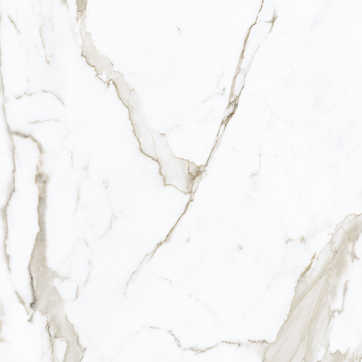 Calacatta Oro Matte 64" x 128" Porcelain slab