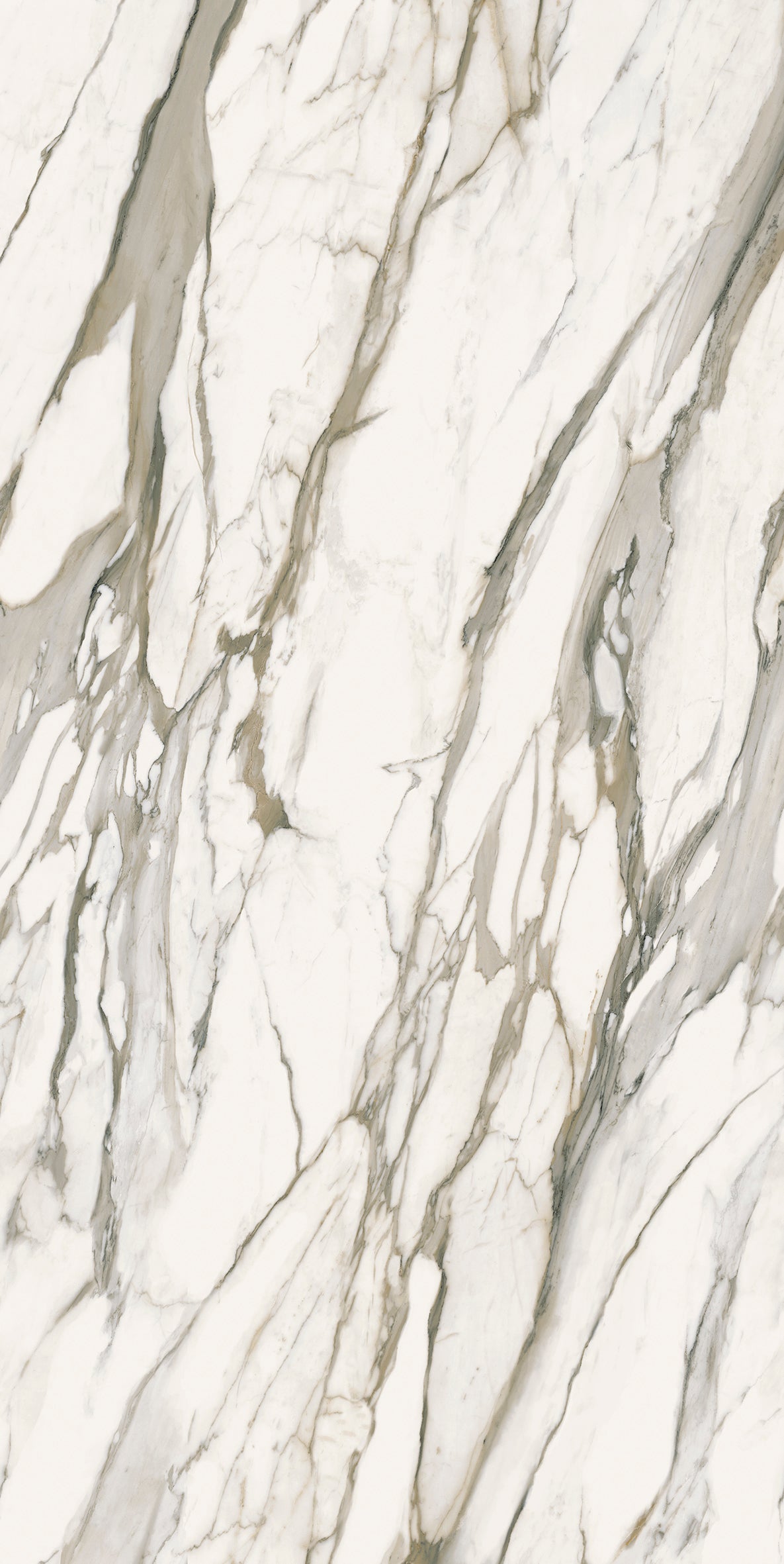 Top Calacatta Venato Matte 64" x 128" Porcelain slab