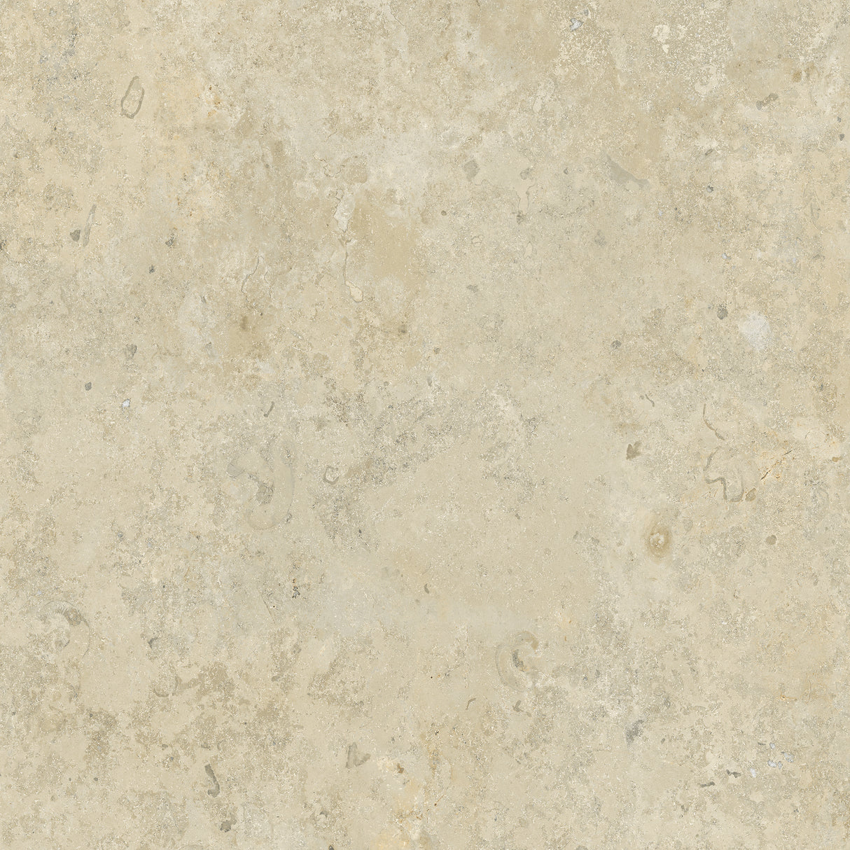 Bistone 48x48