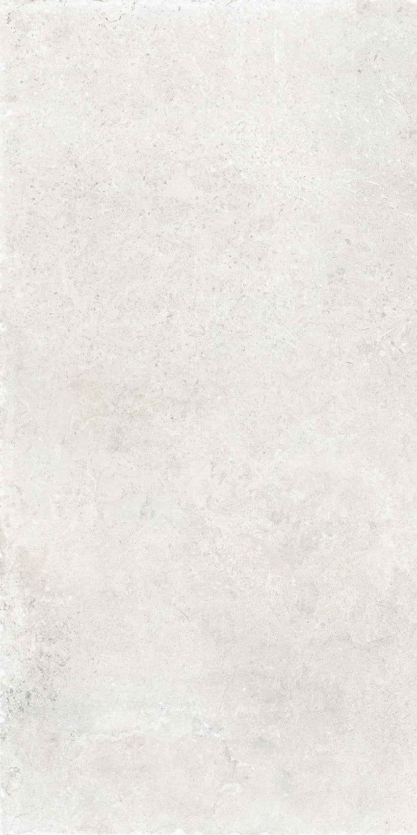 St Remy 24x48 porcelain tile