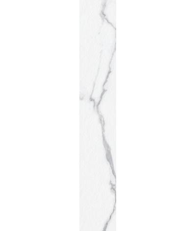 Quintessenza Plus 8x48