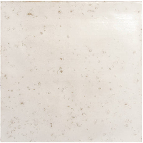 ivory Enso Nakama Field Tile Matte 5x5