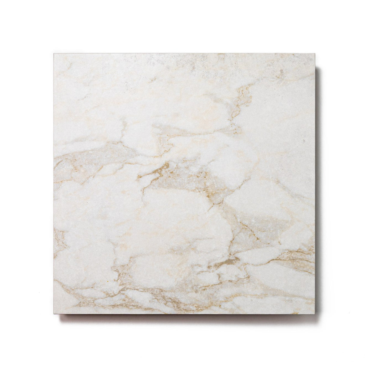 Roma Porcelain Rectified Matte Tile 12x12