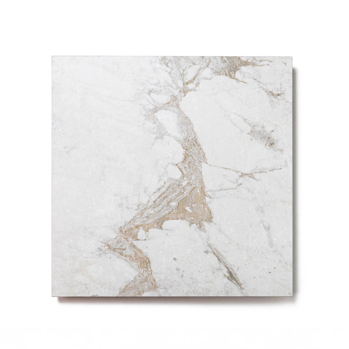 Roma Porcelain Rectified Matte Tile 12x12