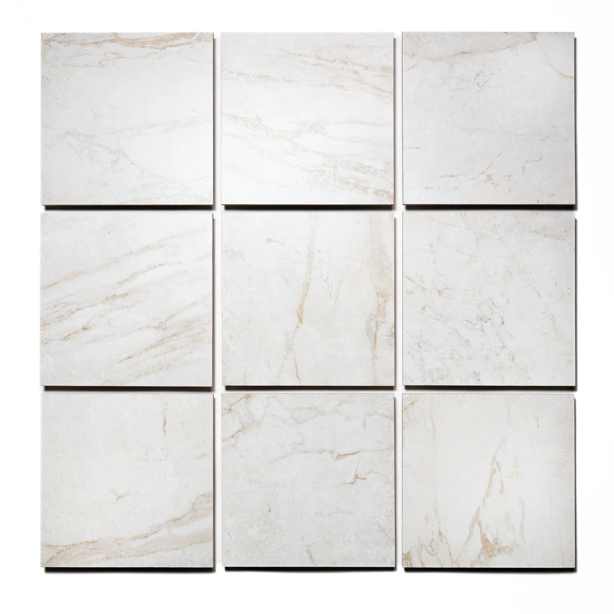 Roma Porcelain Rectified Matte Tile 12x12